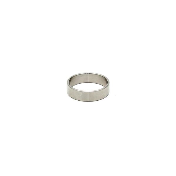 Bondage Play Steel Cock Ring