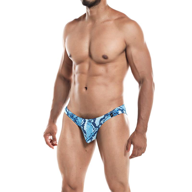 low-rise-bikini-brief-provocative-snake